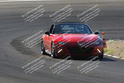 media/Oct-14-2023-West Coast Racing (Sat) [[6853f17b7b]]/Yellow Group/Session 1 (Turn 3)/